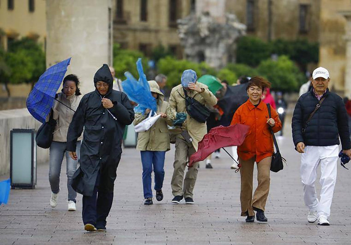 Turistas pasean por el Puente Romano durante el azote de la borrasca 'Aline' a su paso por Córdoba