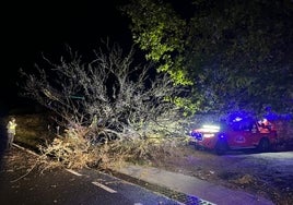 Los Bomberos de la Diputación de Córdoba atienden casi 120 salidas por árboles, muros, tejados y vallas