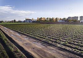 Estudio Herreros proyecta el ecobarrio Vinival en Valencia: 37.000 metros cuadrados de espacios libres y plazas para La Patacona