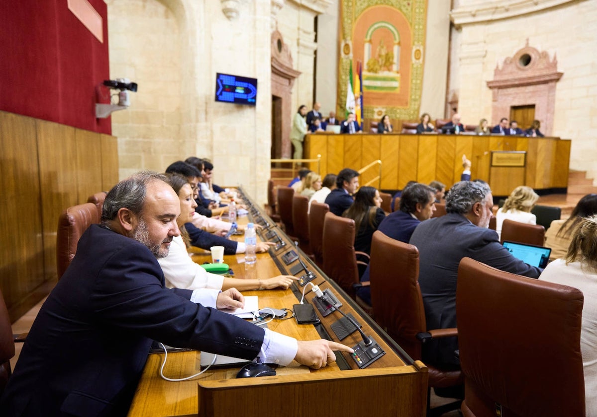 Votaciones en el Pleno del Parlamento