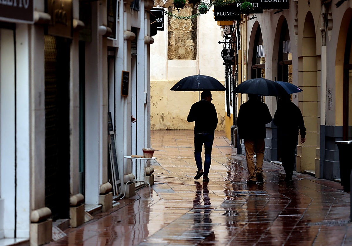 Tres personas con paraguas por las calles del Centro de Córdoba