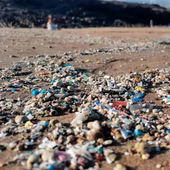 Se multiplican los puntos negros por microplásticos en Canarias