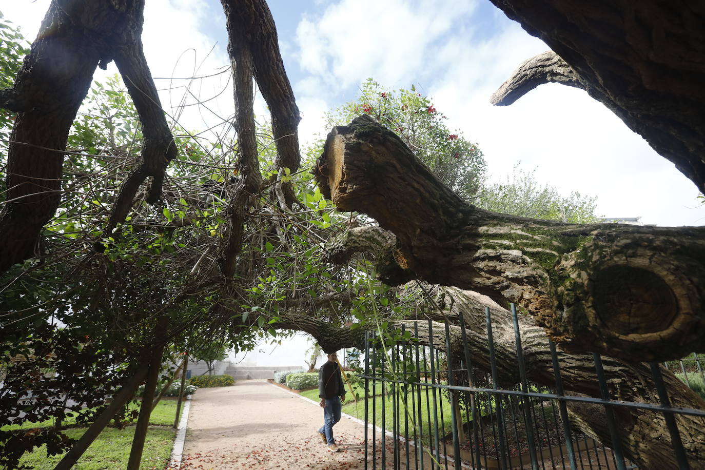 En imágenes, los efectos de Bernard en Córdoba una semana después