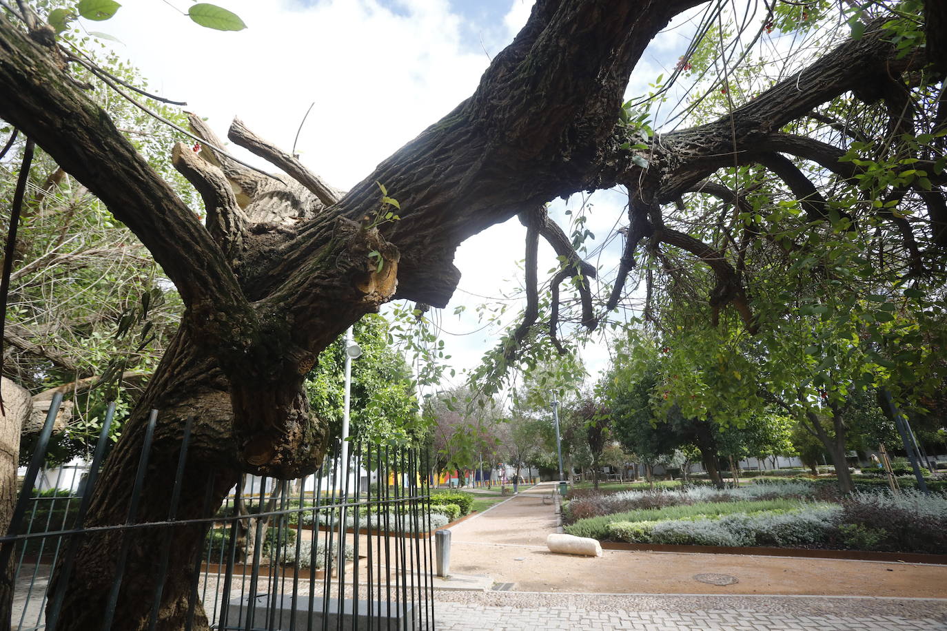 En imágenes, los efectos de Bernard en Córdoba una semana después