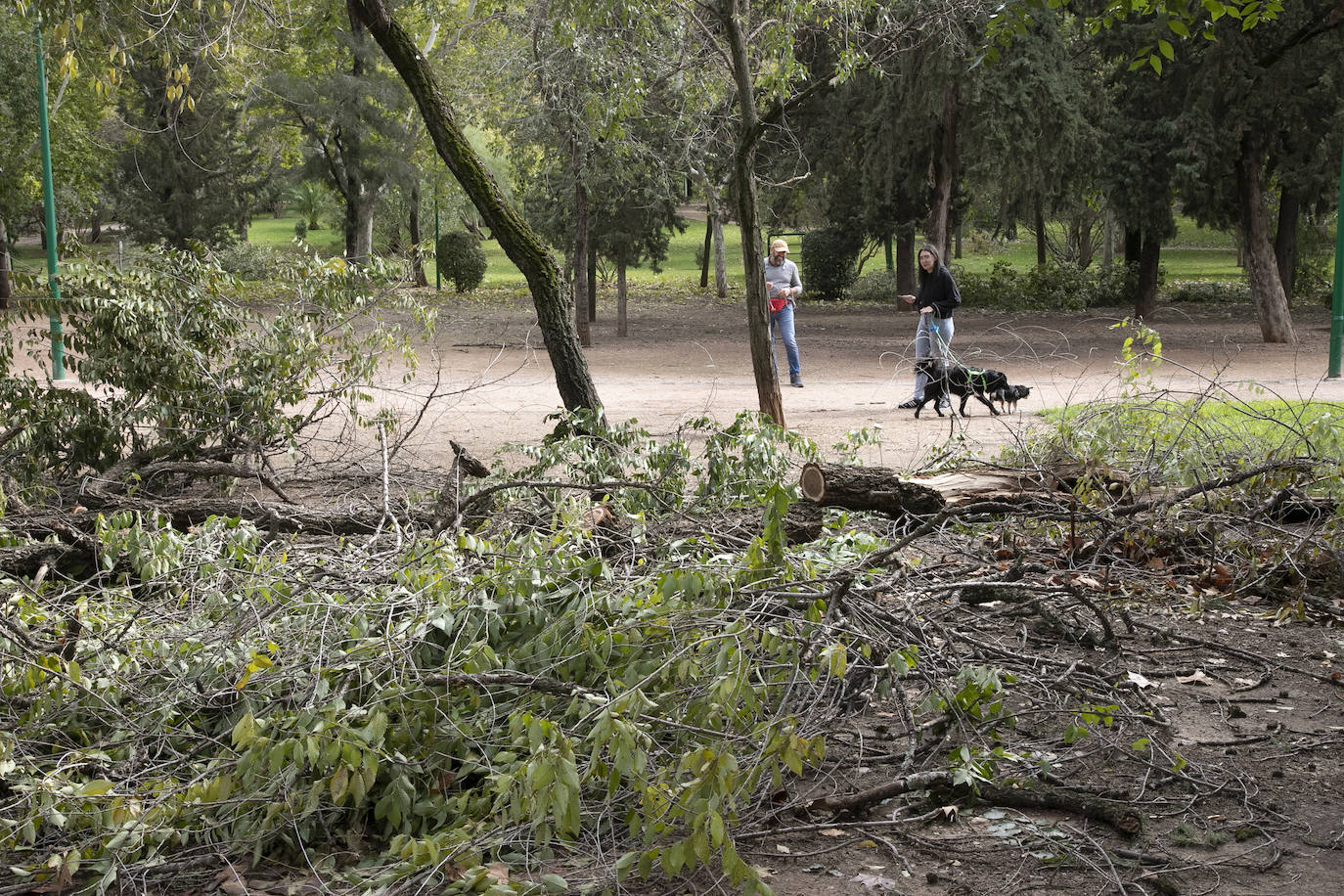 En imágenes, los efectos de Bernard en Córdoba una semana después