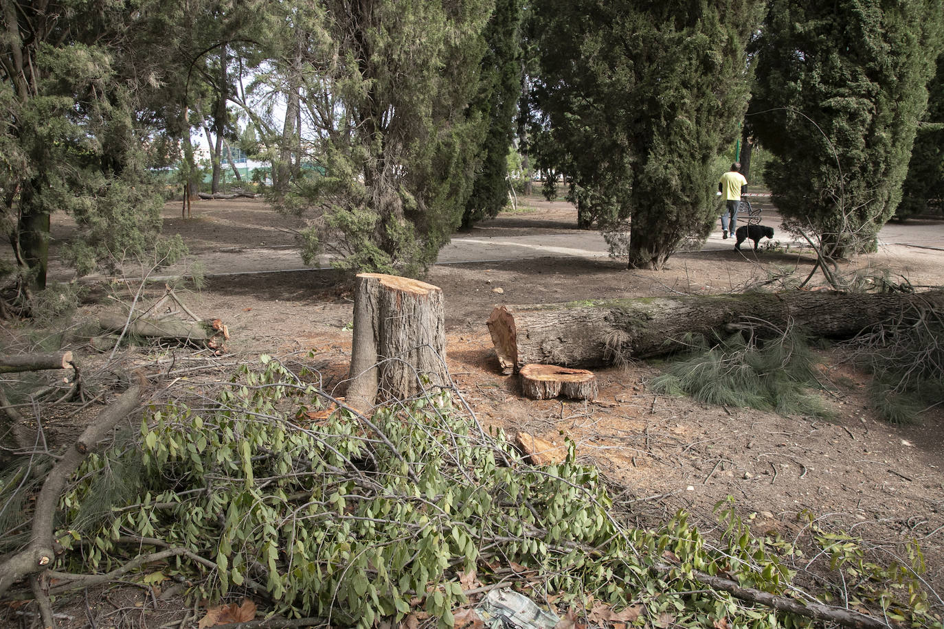 En imágenes, los efectos de Bernard en Córdoba una semana después
