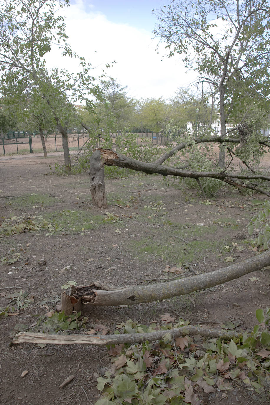 En imágenes, los efectos de Bernard en Córdoba una semana después