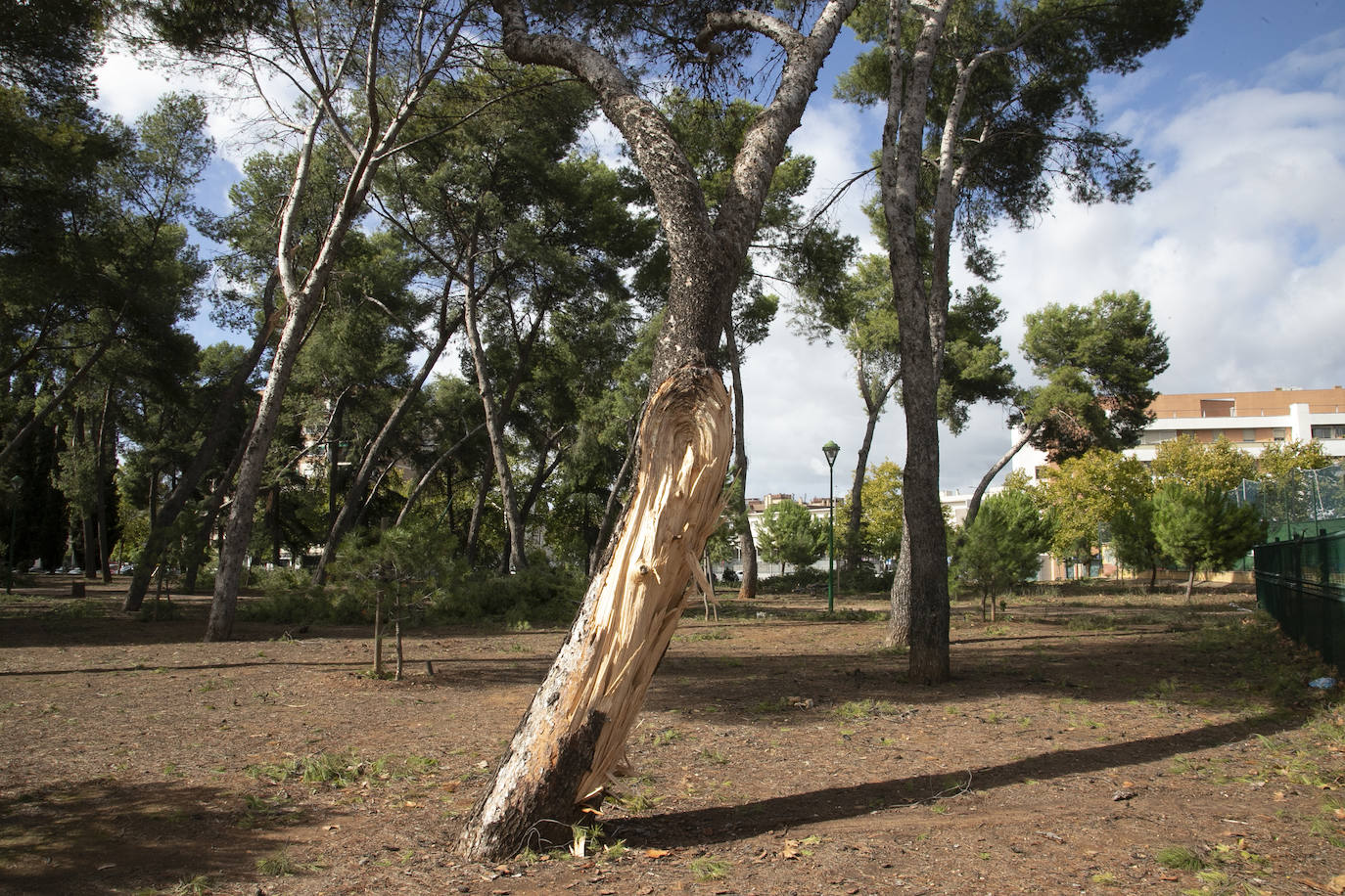 En imágenes, los efectos de Bernard en Córdoba una semana después