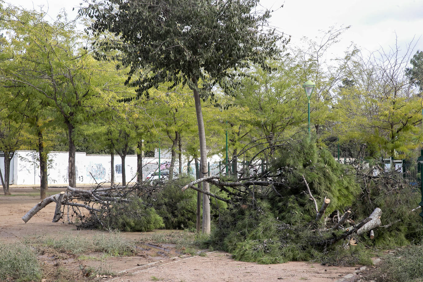 En imágenes, los efectos de Bernard en Córdoba una semana después