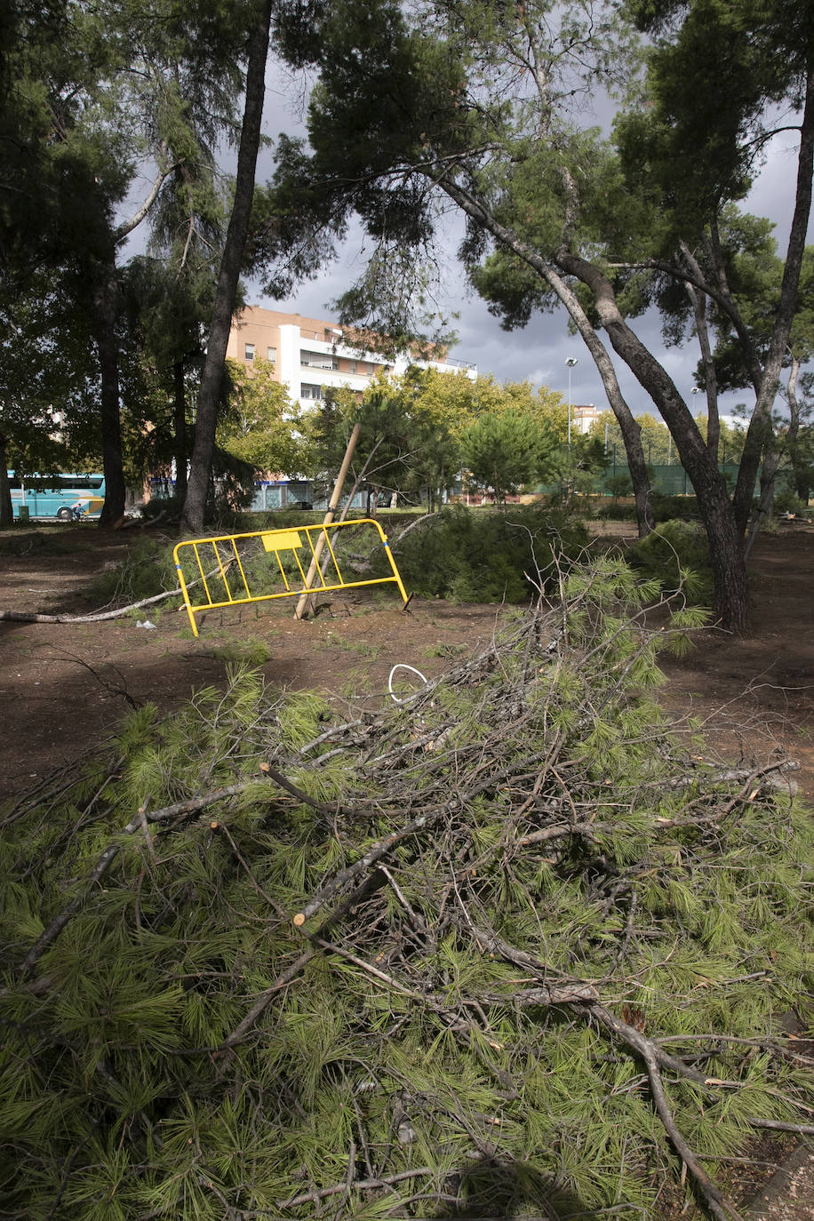 En imágenes, los efectos de Bernard en Córdoba una semana después