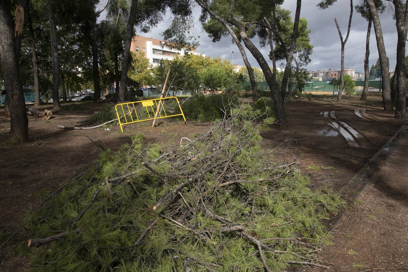 En imágenes, los efectos de Bernard en Córdoba una semana después