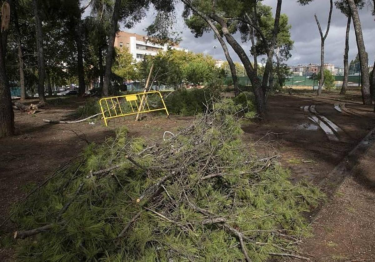 Efectos del vendaval Bernard