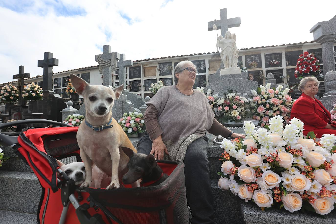 Fotos: Los cementerios de Córdoba se llenan de vida el Día de Todos los Santos