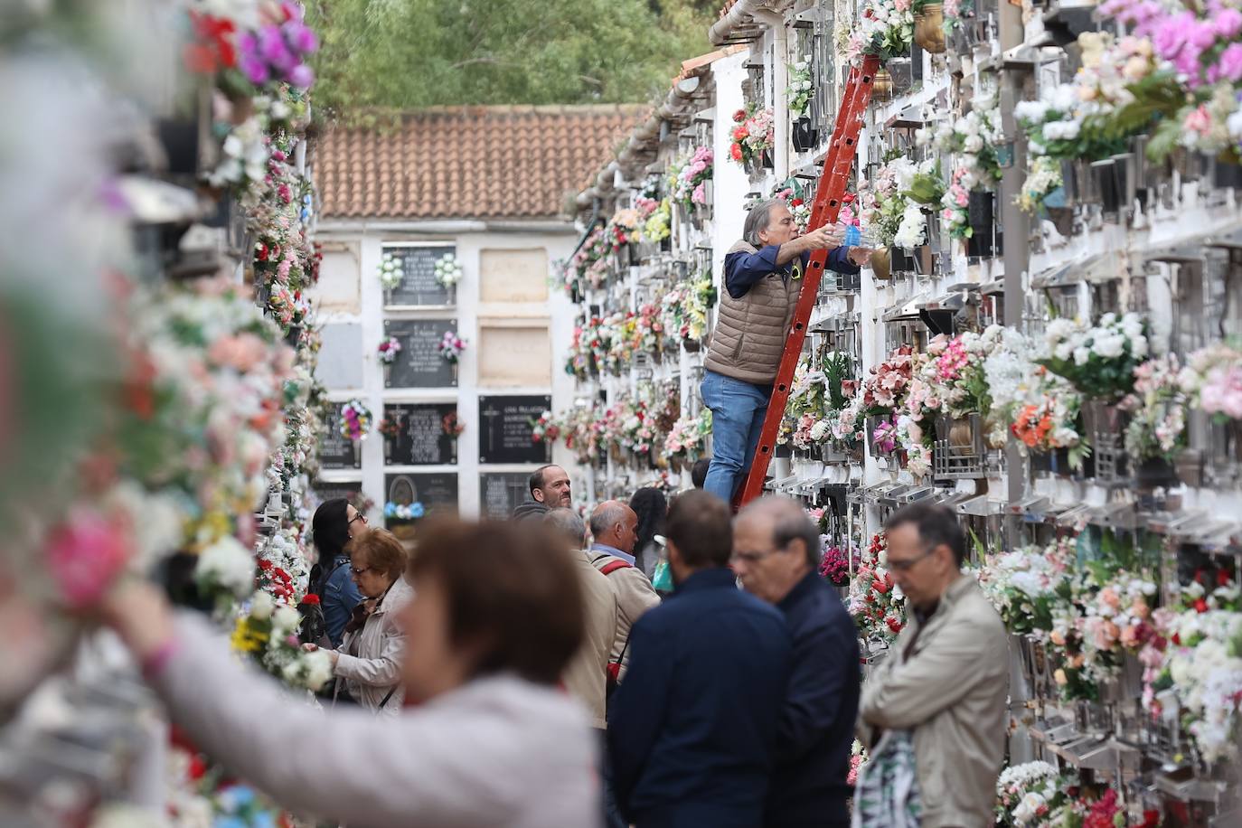 Fotos: Los cementerios de Córdoba se llenan de vida el Día de Todos los Santos