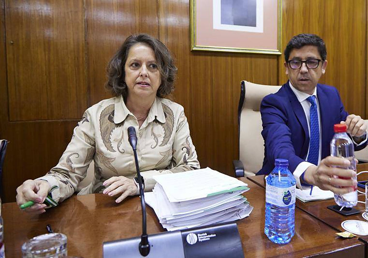 La consejera de Salud y Consumo, Catalina García