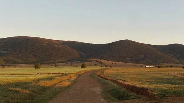 Paisaje de la finca Dehesa Ardales, en Los Yébenes, con los Montes de Toledo al fondo