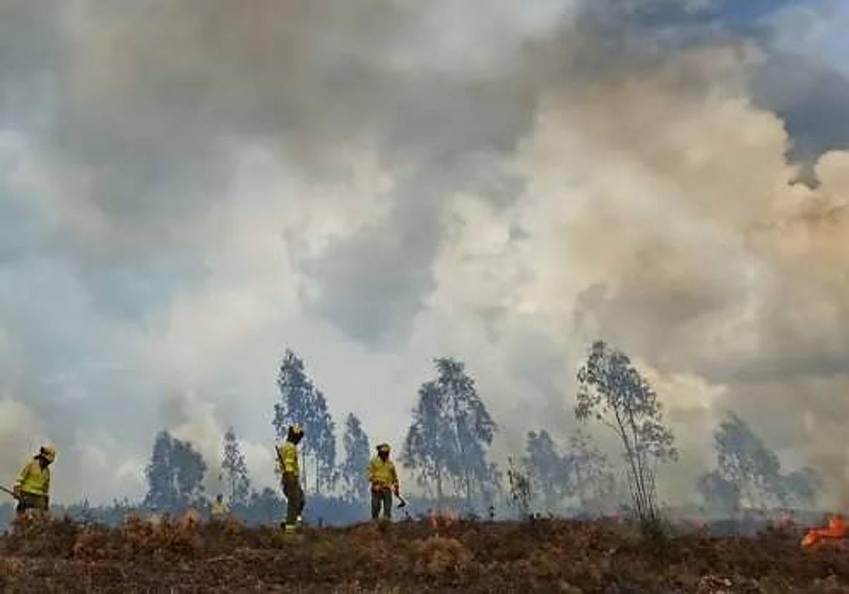 Efectivos del Infoca trabajando en un incendio