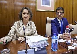 Tres fundaciones de investigación médica dejan el sector público andaluz por los cambios en sus patronatos