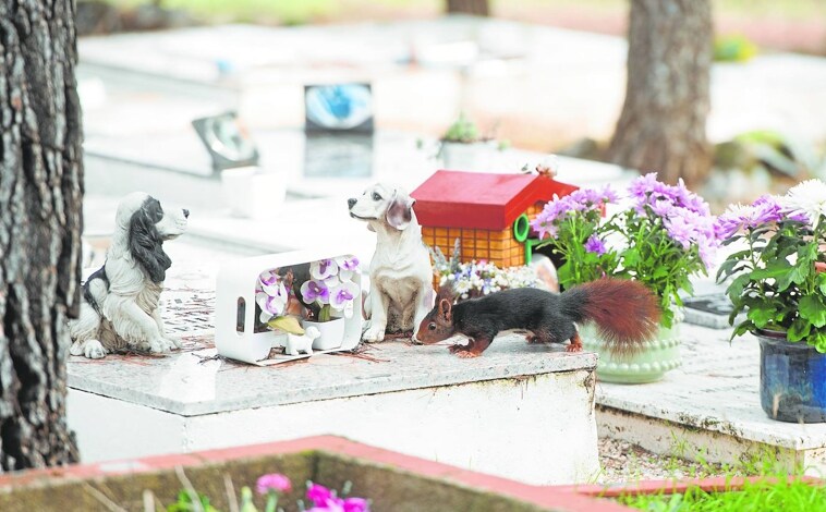 Imagen principal - Muñecos y flores (arriba) son habituales en las tumbas (abajo, izquierda) del cementerio 'El Último Parque', en Arganda del Rey