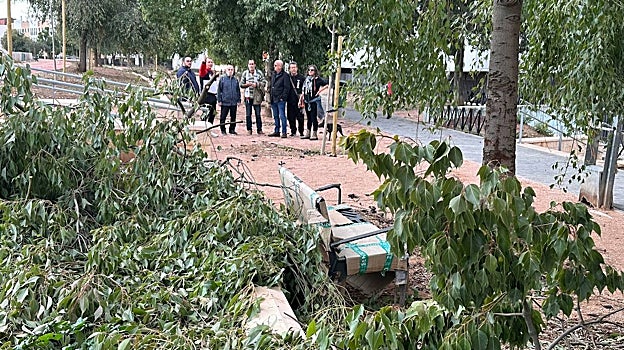 Ramas caídas en el Paseo de San Julián