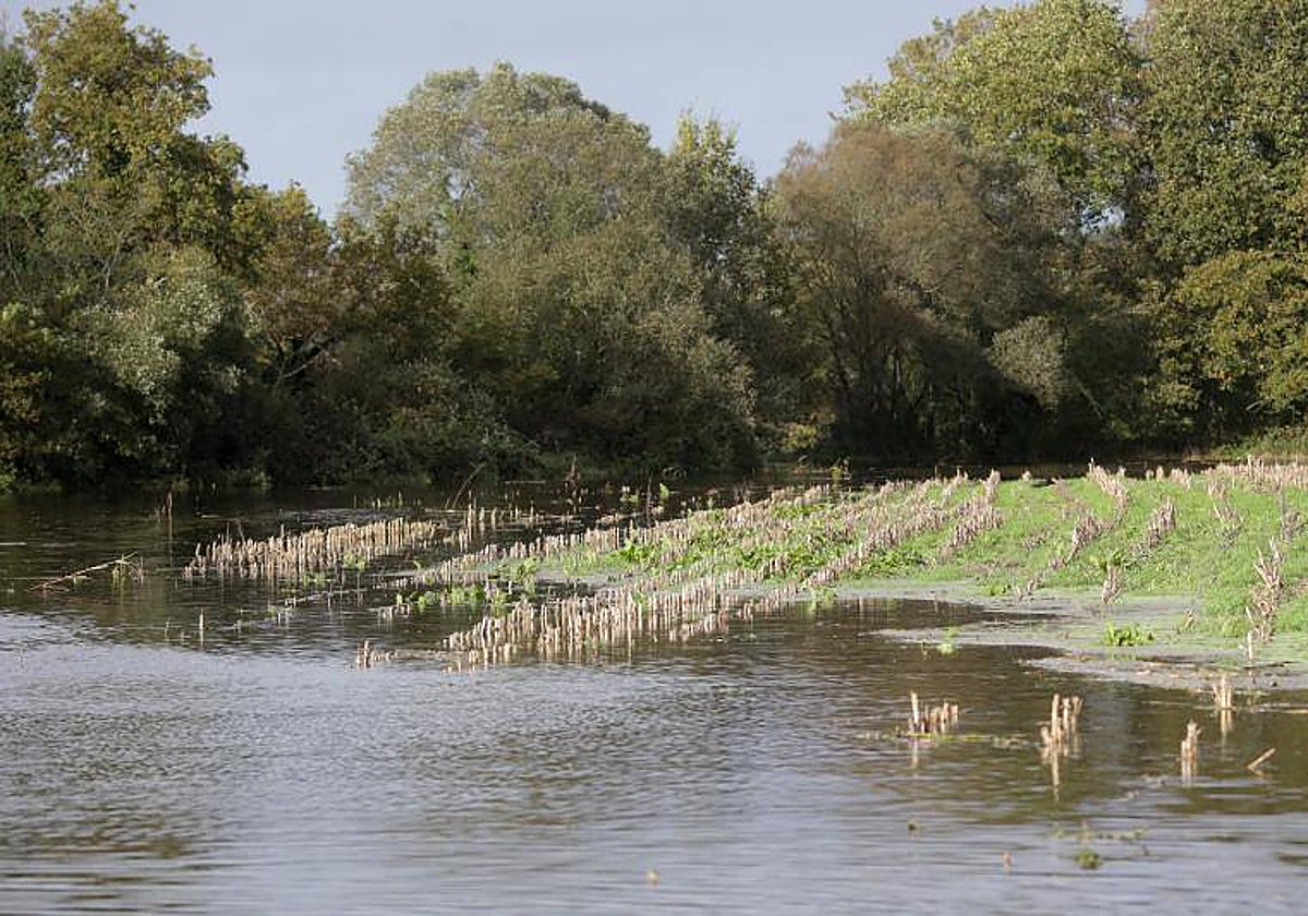 Campo anegado en Cospeito, este sábado, en Lugo, durante el paso de Domingos