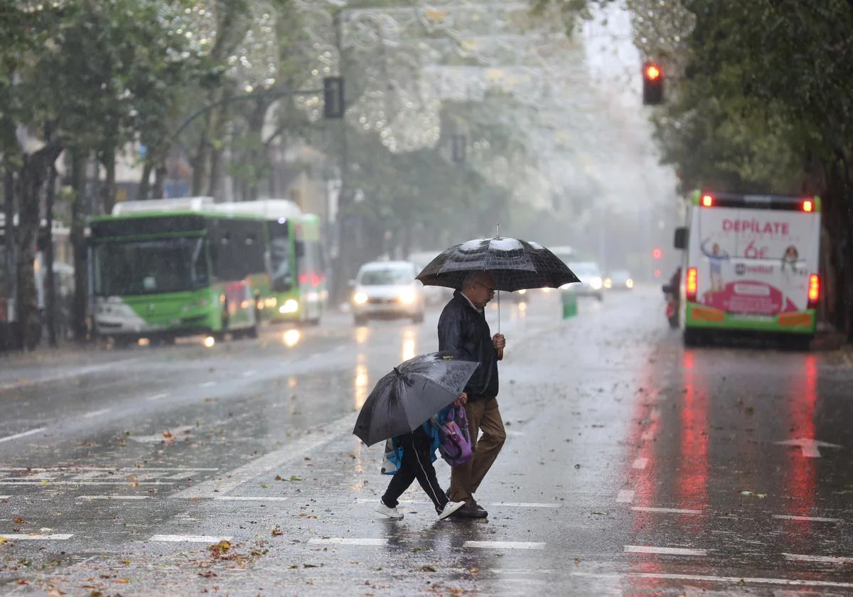 Varios meses de más de 300 litros de lluvia harían que se superara la  sequía en Córdoba