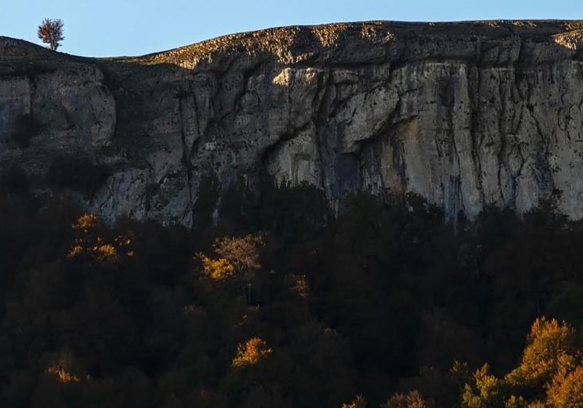 Ambos cadáveres han sido hallados en la Sierra de Urbasa, en Navarra