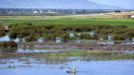 Publicado el decreto que recoge la estructura de gestión de la Reserva de Biosfera de la Mancha Húmeda