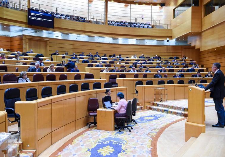 Los senadores, durante el pleno en el que se consideró la reforma del reglamento