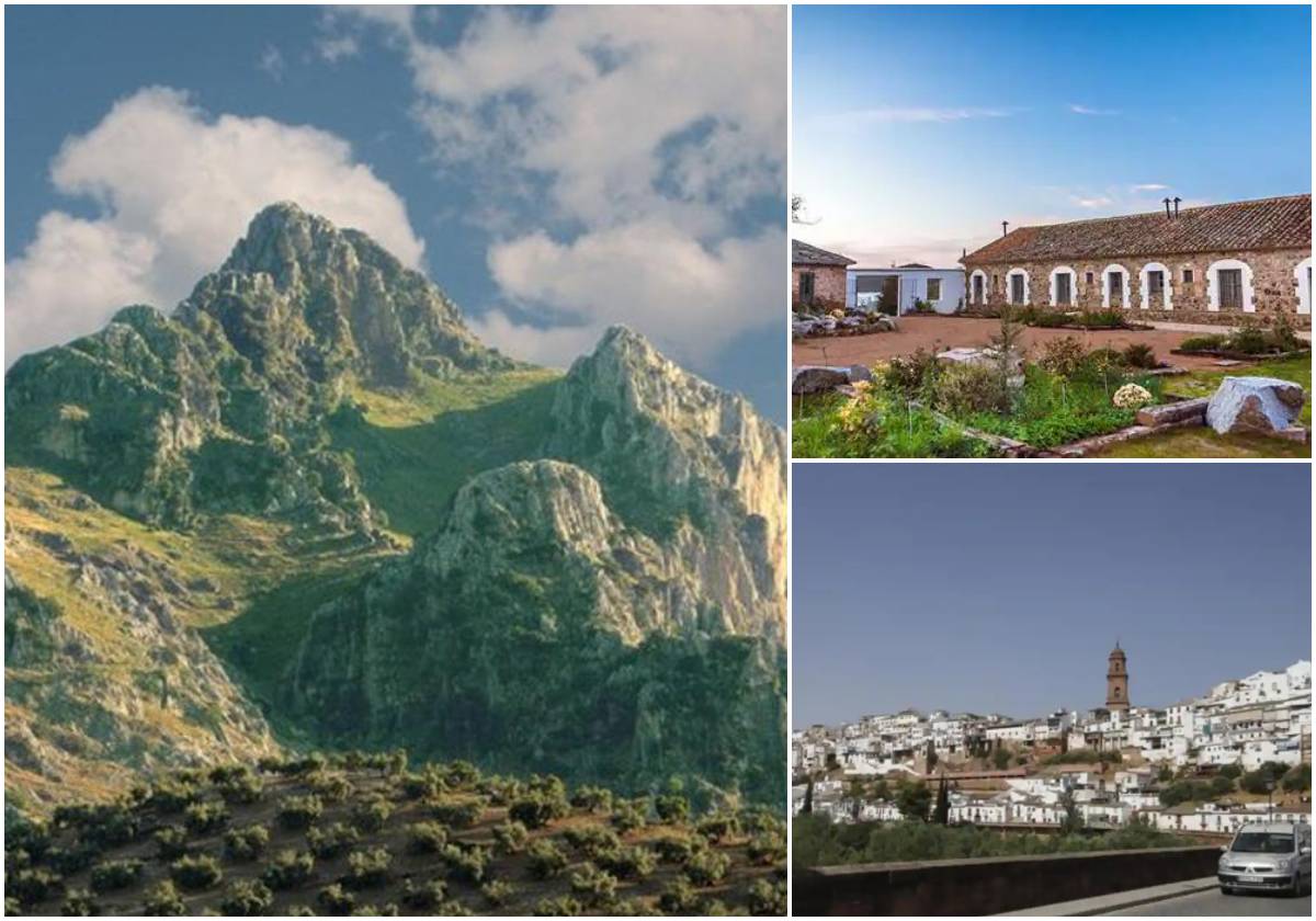 Aguilas en el Parque Natural de Horchanuelos