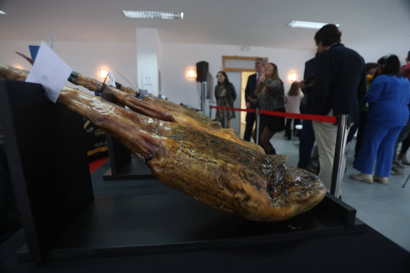 Fotos: cómo se elige al mejor jamón cien por cien ibérico del Valle de Los Pedroches