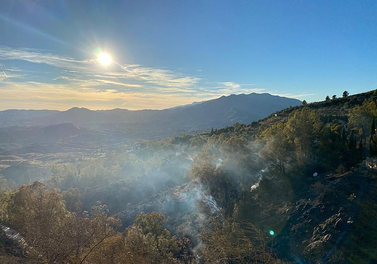 Zona de matorral afectada en Mijas