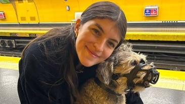 Imagen principal de la ficha