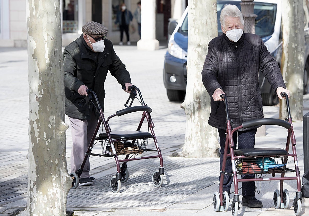 Dos ciudadanos con movilidad reducida durante la pasada pandemia