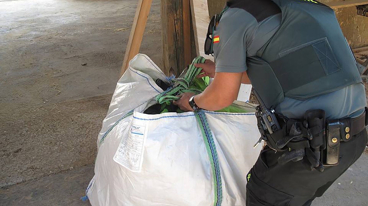 Imagen del saco de obras donde el investigado ocultaba las 15 plantas de marihuana