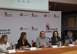 Mas de 60 menores de la Comunidad están a la espera de encontrar una familia de acogimiento