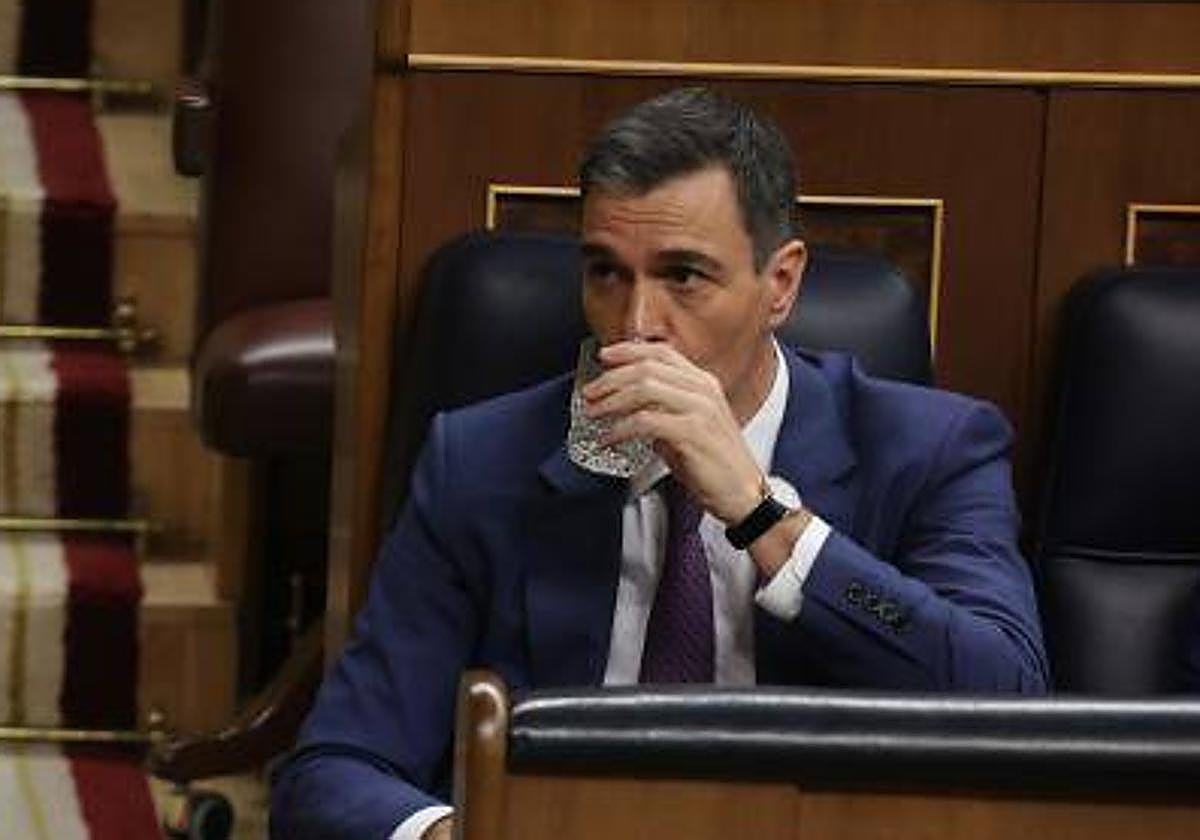 El presidente del Gobierno, Pedro Sánchez, en el Congreso