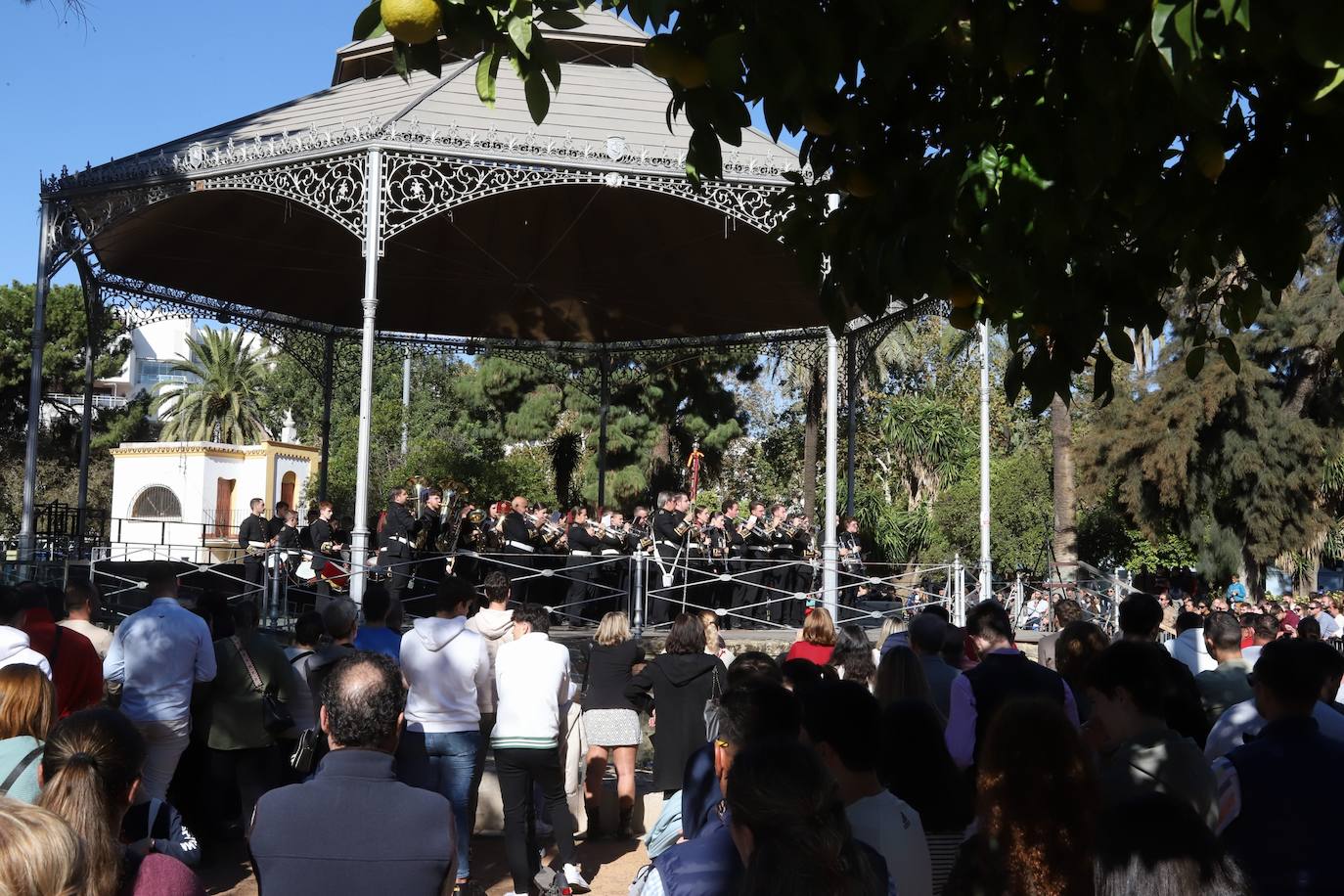 El certamen de bandas por Santa Cecilia en Córdoba, en imágenes