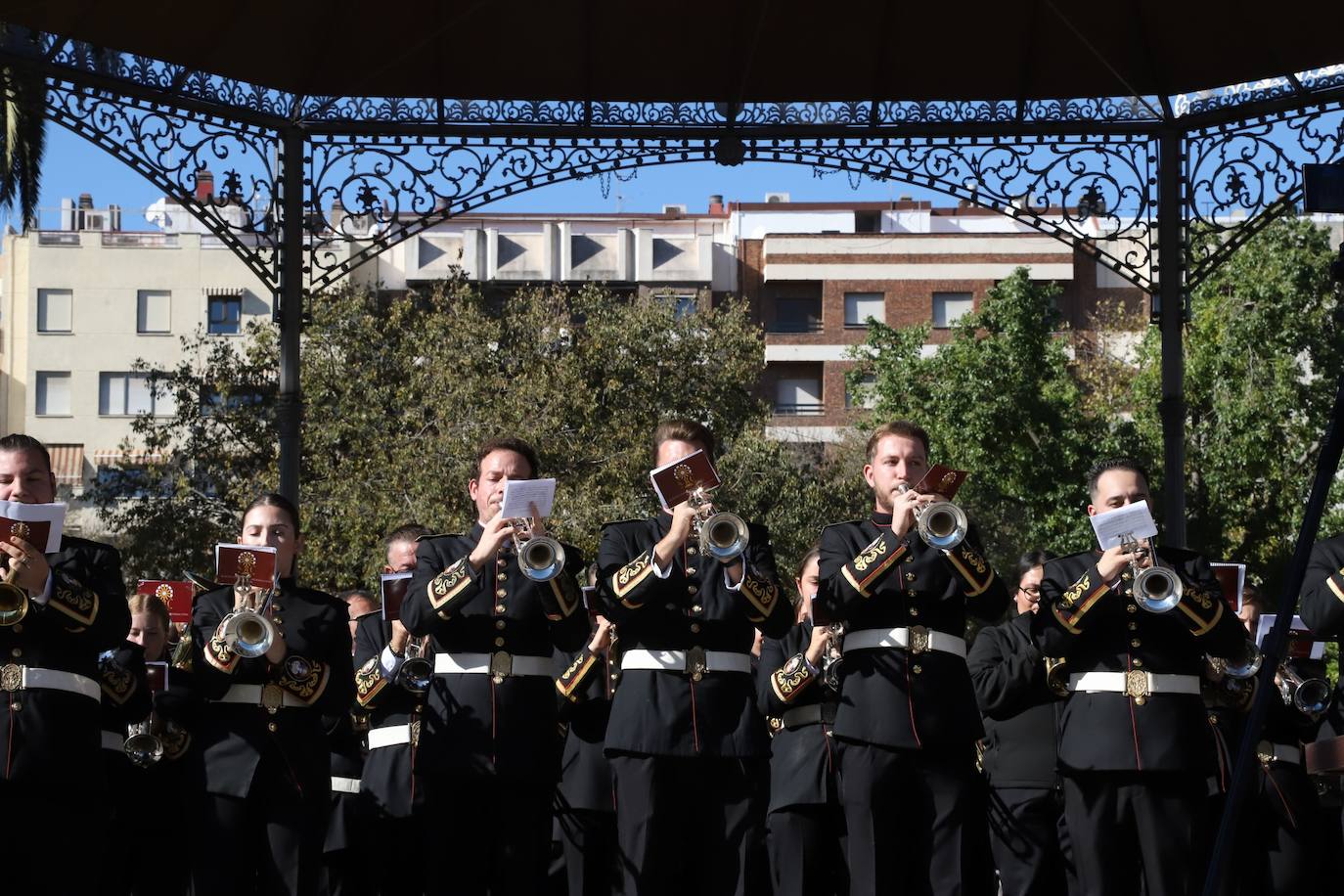 El certamen de bandas por Santa Cecilia en Córdoba, en imágenes