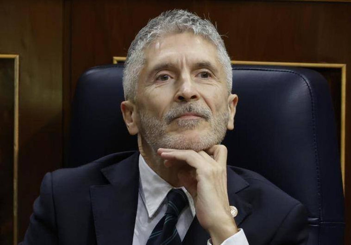 Fernando Grande-Marlaska, en el Congreso