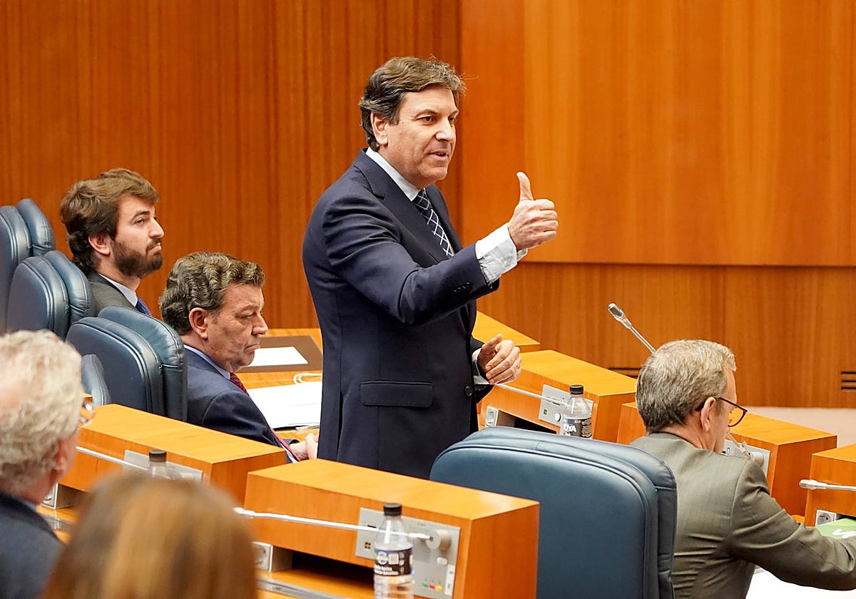 Fernández Carriedo, durante su intervención en el pleno