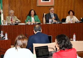 Los menores huérfanos por violencia machista de Andalucía recibirán las ayudas de 5.000 euros a partir de 2024