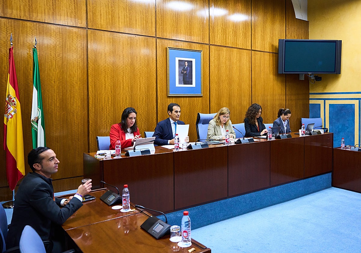 El consejero de Justicia, en el centro, durante la Comisión de la Infancia en el Parlamento andaluz