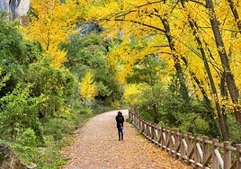 Día de otoño en Cuenca: garantía de experiencia inolvidables