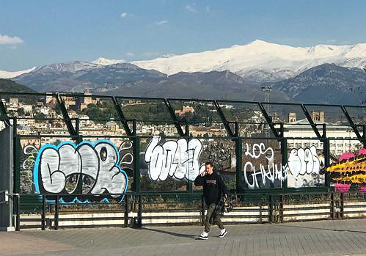 Pintadas y grafitis de nulo interés artístico en el distrito Camino de Ronda