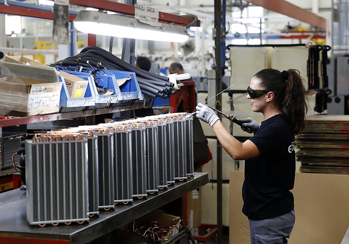 Una trabajadora en una fábrica del sector del frío industrial en Lucena