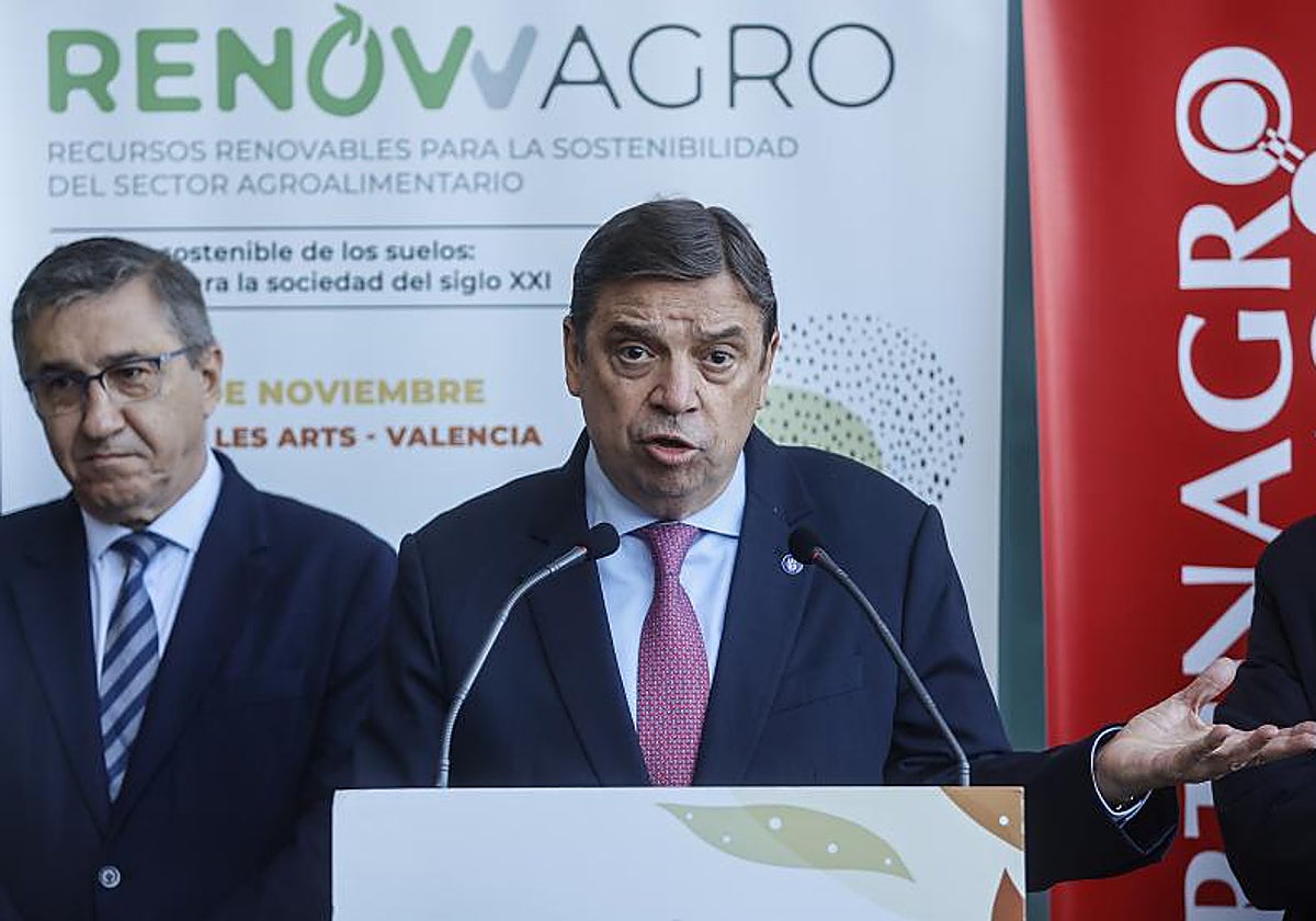 El ministro de Agricultura, Pesca y Alimentación, Luis Planas, interviene durante el II Encuentro Internacional Renowagro en Valencia