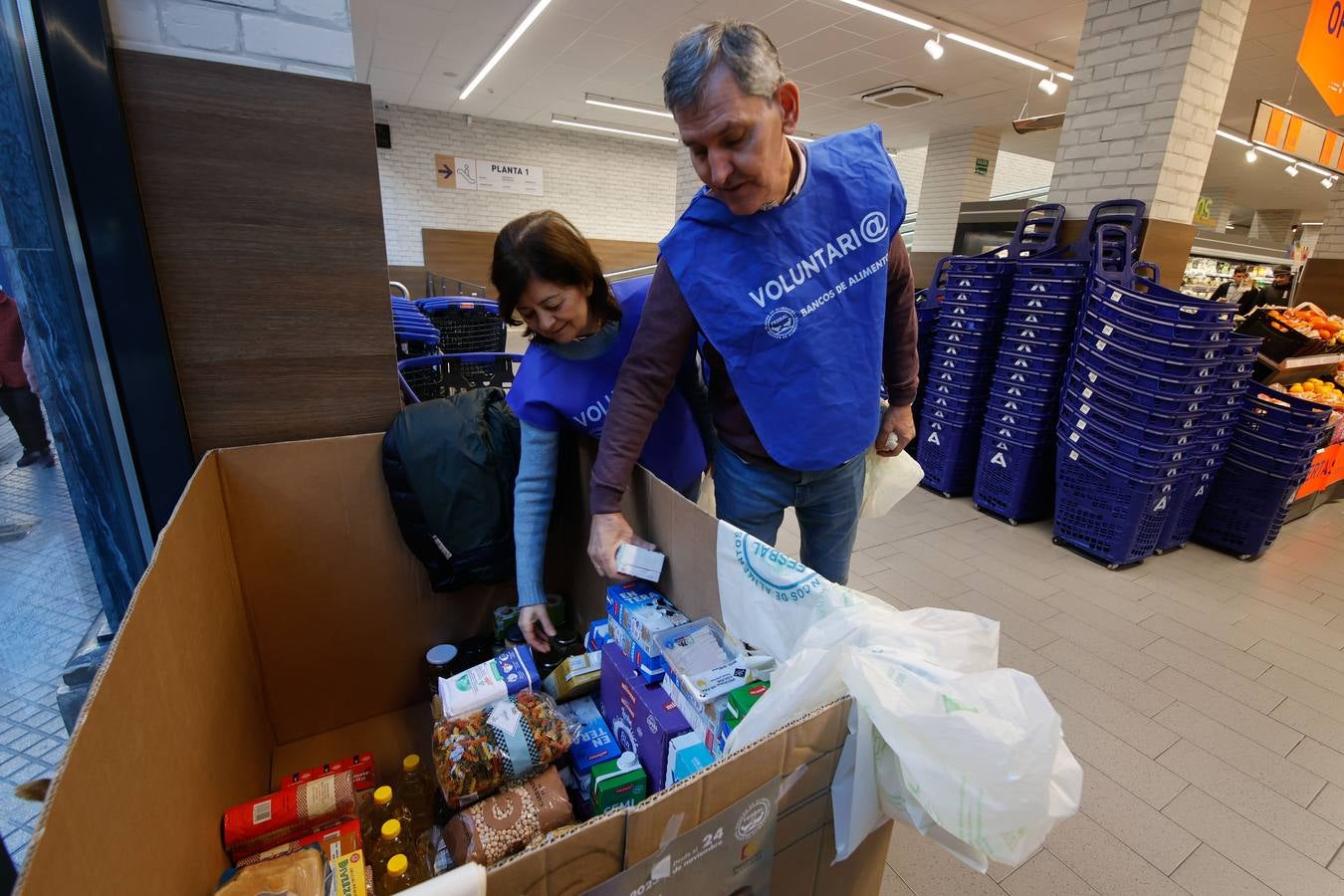 Fotos: los cordobeses se vuelcan con la Gran Recogida de Alimentos