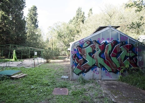 Imagen secundaria 1 - Puerta principal del jardín atómico, cerrada con candado; en las fotos inferiores, abandono y grafitis en uno de los recintos cubiertos del espacio; y parte de los restos óseos de animales esparcidos por el viejo laboratorio