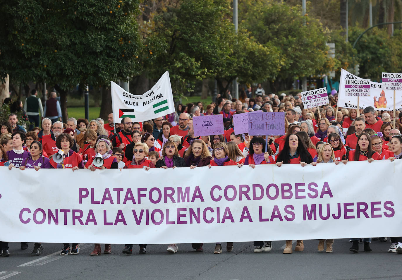 Fotos: la concurrida manifestación contra la violencia machista en Córdoba